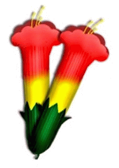 Image result for simbolos bolivianos